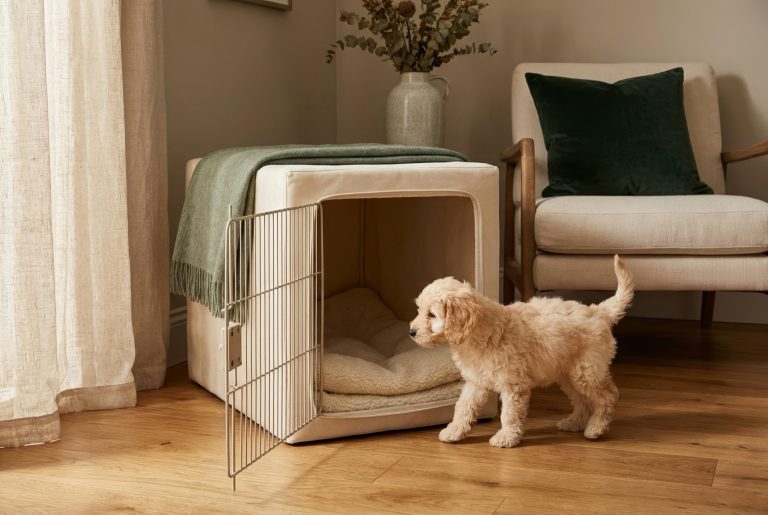 A soft-lined crate with the door open in the corner of a warm living room