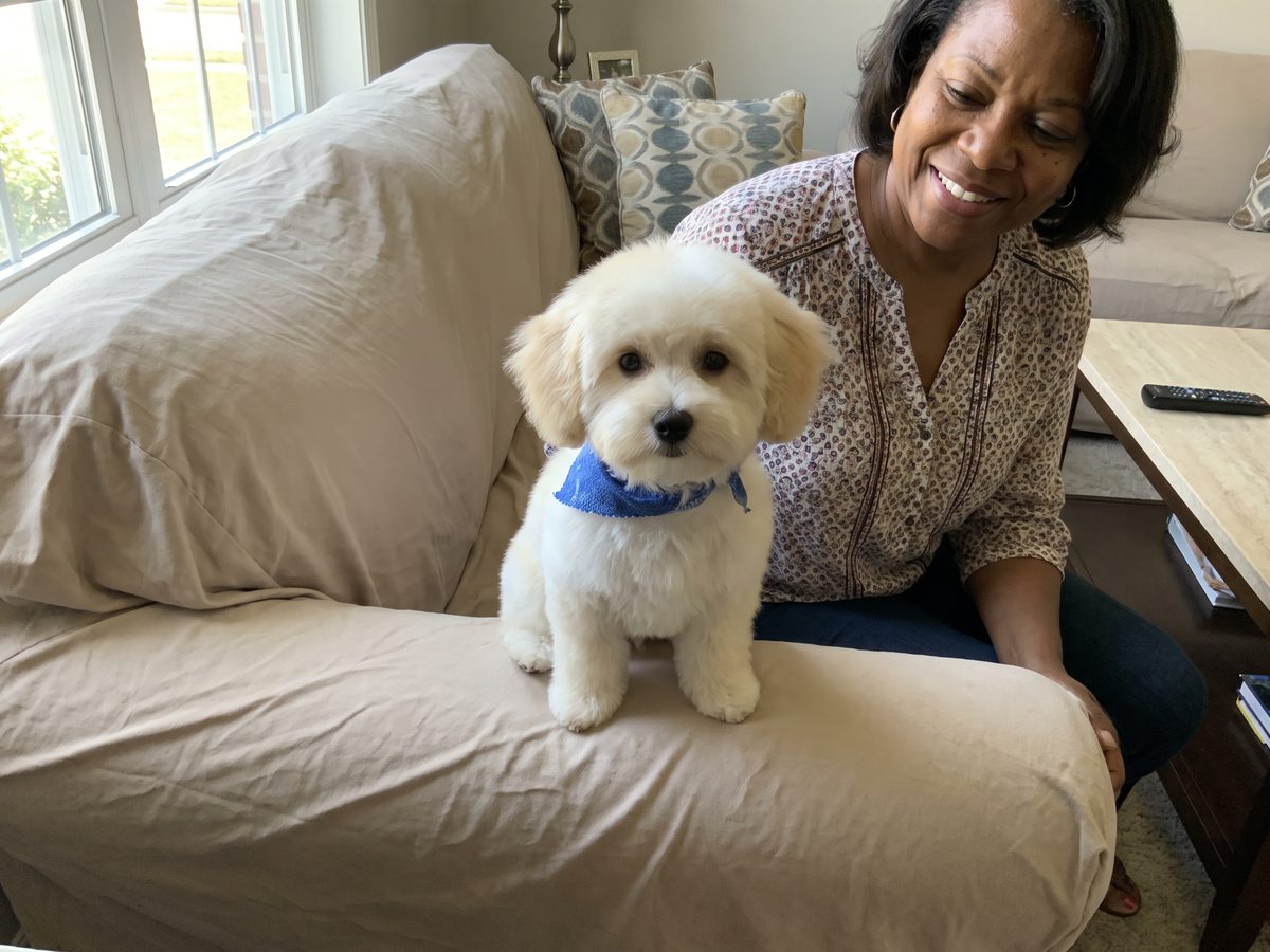 Nancy with their Maltipoo Bailey